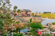 射手座不愿生孩子吗为什么，射手座不愿生孩子吗为什么呢